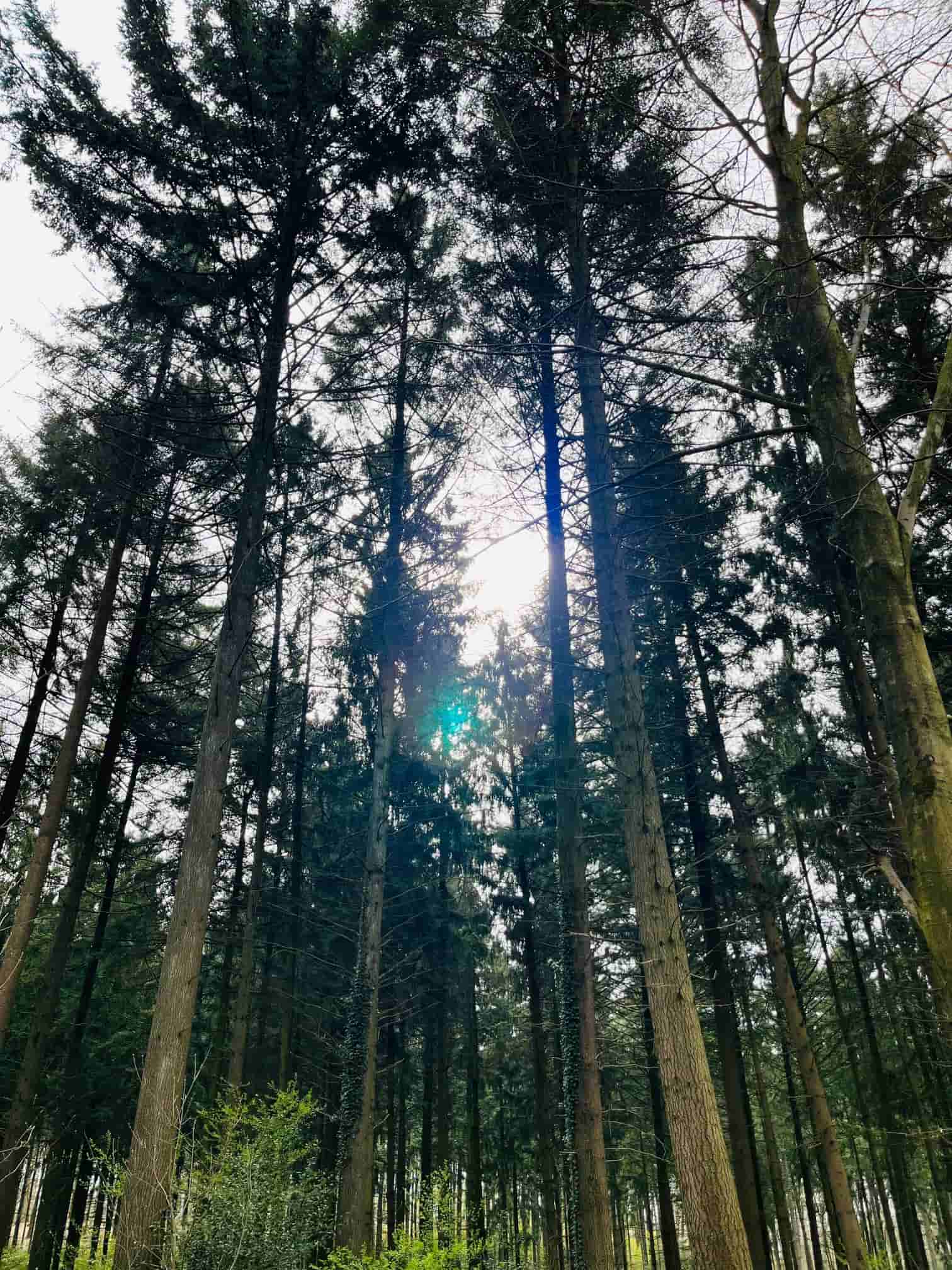 Ich bin dann mal wieder weg 4